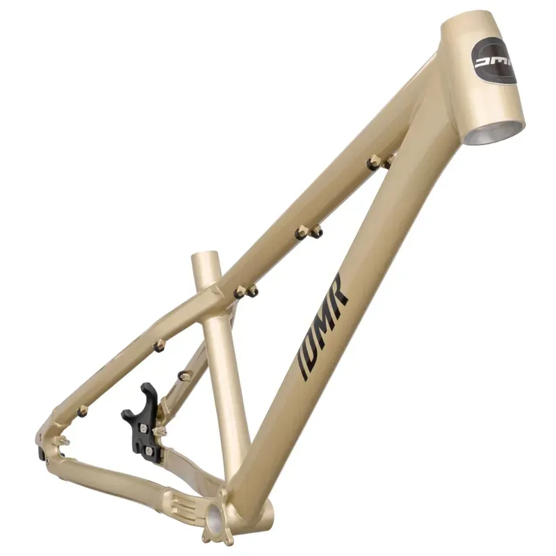 DMR Rhythm Frame in Sola Gold-1