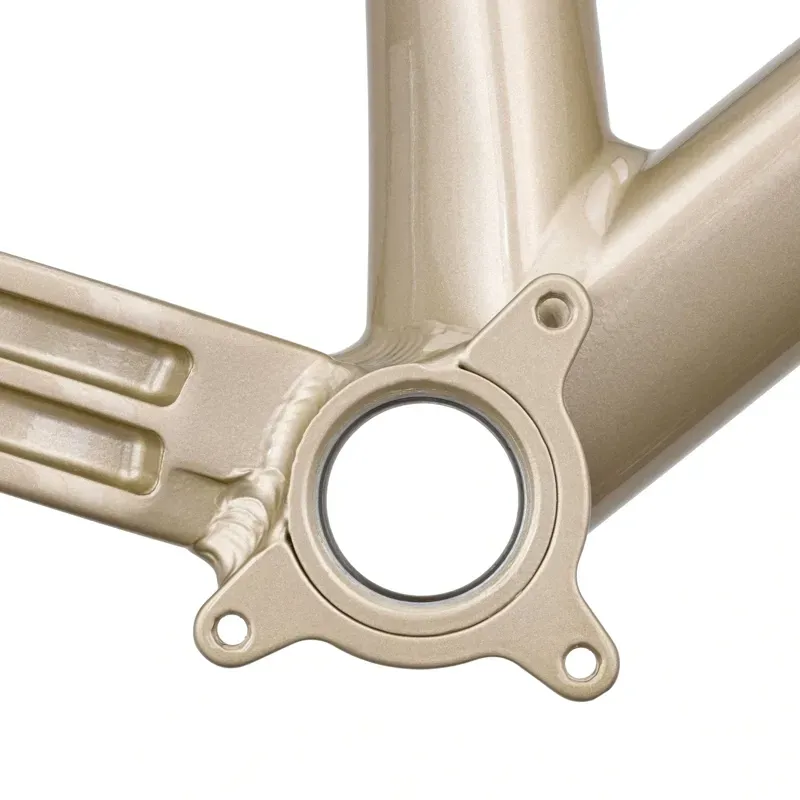 DMR Rhythm Frame in Sola Gold-3