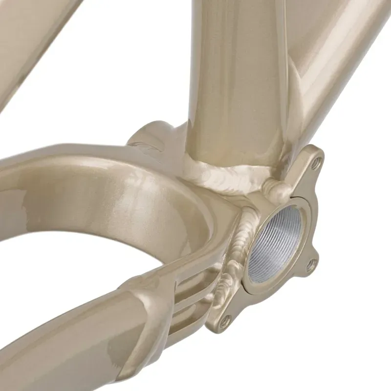 DMR Rhythm Frame in Sola Gold-4