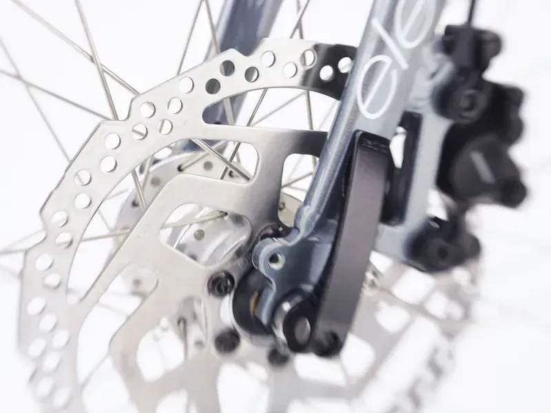 Electra Townie Path Go! 10D Step-Thru E-Bike in Holographic Silver-3