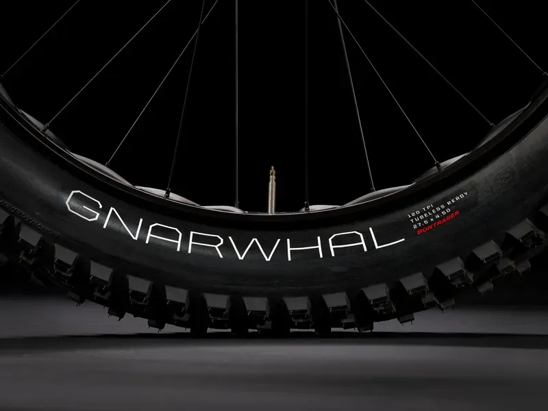 Trek Farley 5 Fat Bike in Blue Sage to Lithium Grey Fade-5