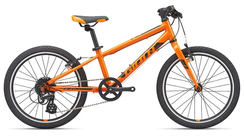 2019 Giant ARX 20 Kids Bike in Orange