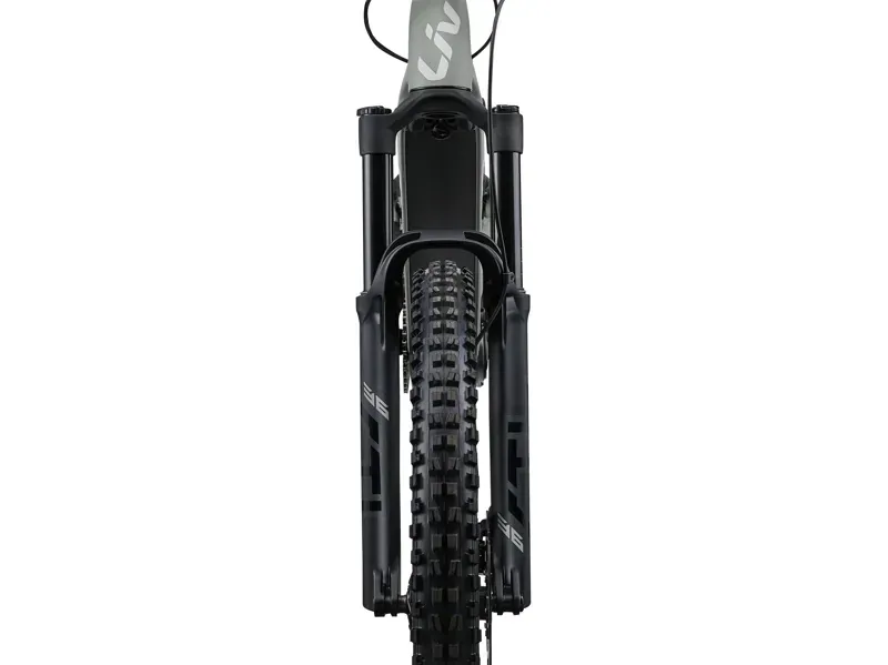 Liv Embolden E+ 2 eMountain Bike in Slate Gray-2