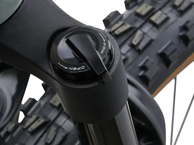 Liv Embolden E+ 2 eMountain Bike in Slate Gray-9