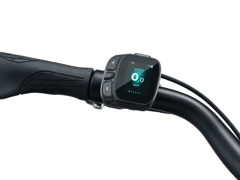 Giant NewTour E+ 2 DD Electric Commuter Bike in Cold Night-3